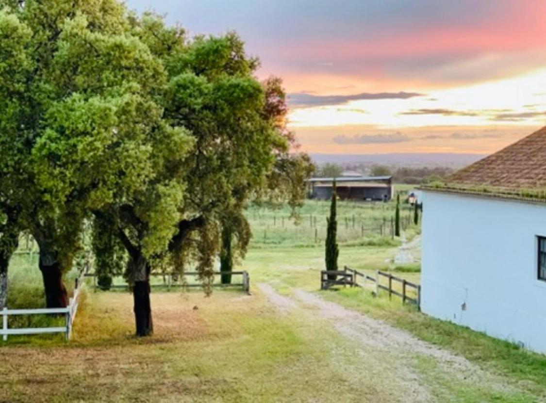 Herdade De Santa Maria Almeirim Zewnętrze zdjęcie