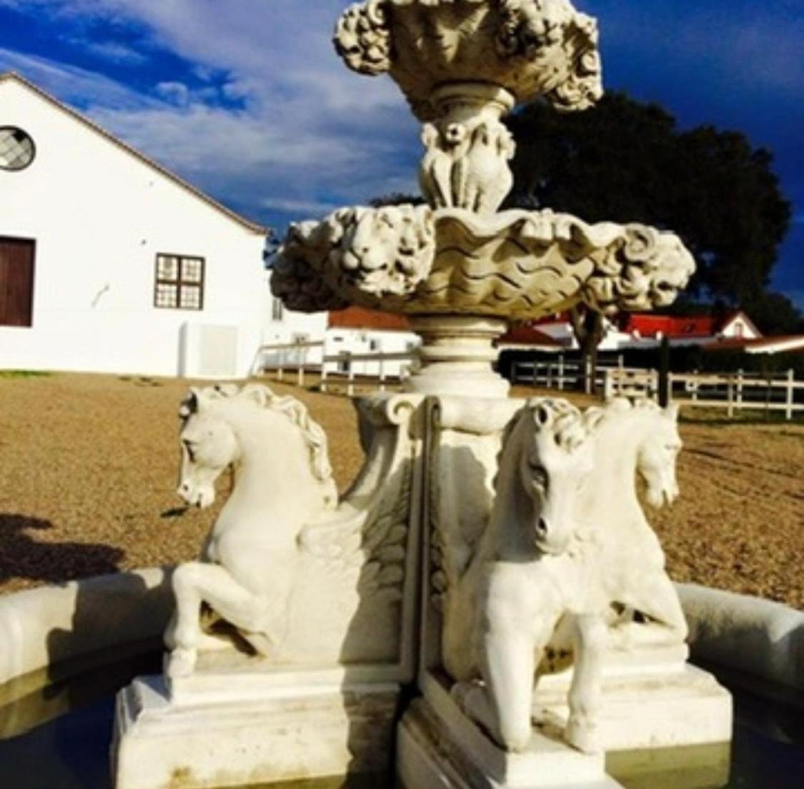 Herdade De Santa Maria Almeirim Zewnętrze zdjęcie